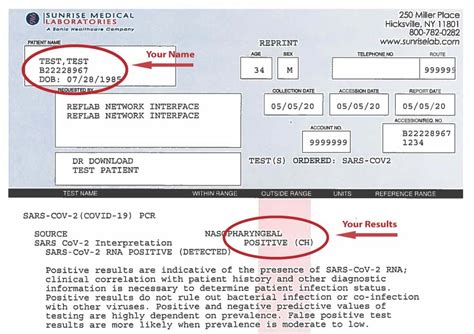 how to read pcr results|Understanding COVID.